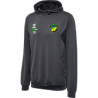 HUMMEL hmlAUTHENTIC PL HOODIE