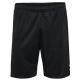 Zwönitzer HSV Kinder Shorts schwarz