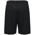 Zwönitzer HSV Unisex Shorts schwarz
